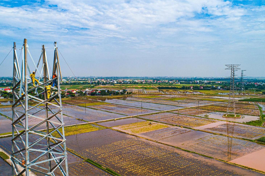 "Vượt nắng, thắng mưa" trên công trường thi công đường dây 500kV qua Hải Dương
