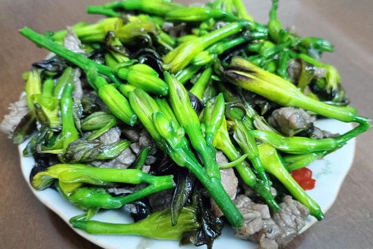 Lạ miệng món hoa dược liệu xào thịt bò