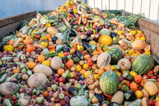 Tổng lượng thực phẩm ăn được bị vứt bỏ khiến Nhật Bản thiệt hại 25 tỷ USD