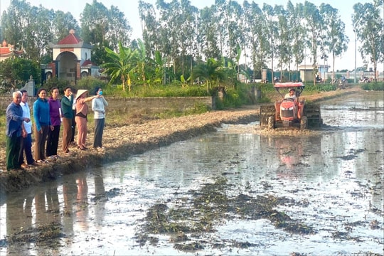Hợp tác xã Dịch vụ nông nghiệp thị trấn Tứ Kỳ xóa ruộng hoang