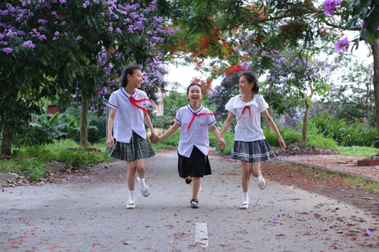 Thành phố của tôi