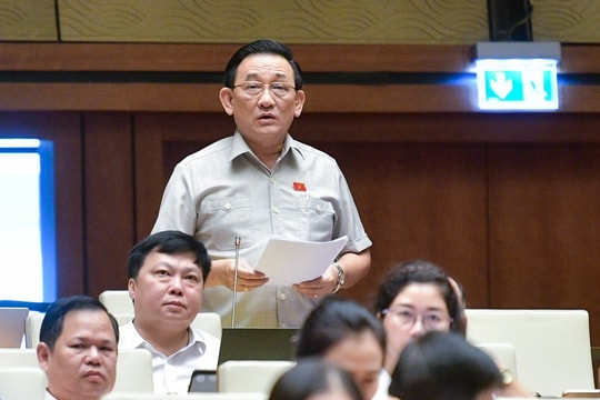 Phân bón chịu thuế suất 5%: Không nên để nông dân thêm áp lực