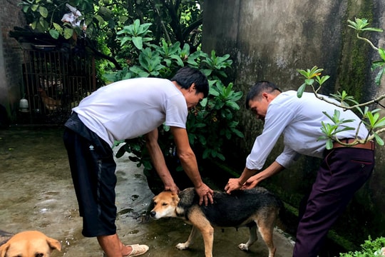 Sau ca mắc dại tử vong, Sở Nông nghiệp và Phát triển nông thôn Hải Dương đề nghị tăng cường kiểm soát chó, mèo