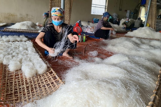 Nhức nhối ô nhiễm môi trường làng nghề sản xuất bún, bánh đa ở Hải Dương
