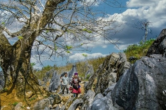 Khám phá vẻ đẹp hoang sơ trên cao nguyên đá Tủa Chùa
