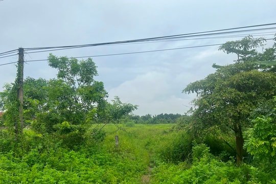 Những sân vận động xã, thôn bỏ hoang