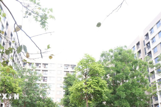 Thủ tướng chỉ đạo đẩy nhanh tiến độ xây dựng, ban hành văn bản thi hành 4 luật
