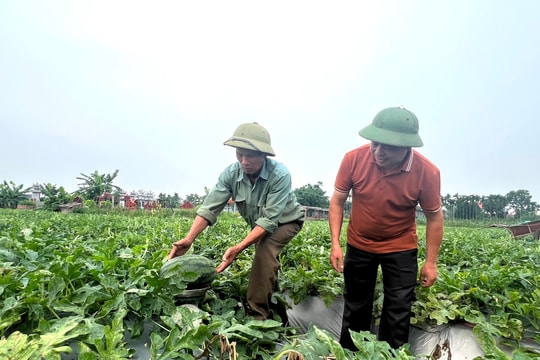 Quỹ Hỗ trợ nông dân Hải Dương tăng trên 7,3 tỷ đồng