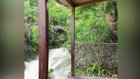 Thuê phòng ven suối để "chữa lành", du khách Hà Nội nhận "cái kết không tưởng"