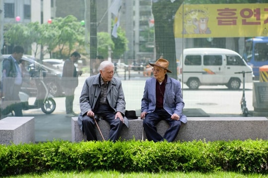 Hàn Quốc cho phép sinh viên quốc tế tham gia lĩnh vực điều dưỡng