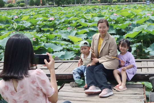 Mùa sen ở Kiếp Bạc