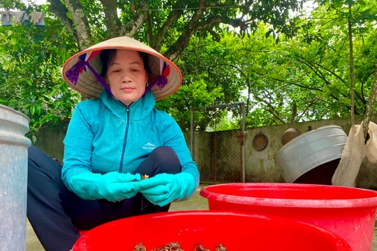 Thơm ngon mắm cáy bà Ngần