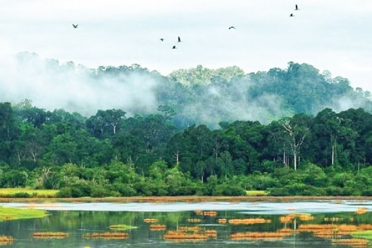 Cat Tien – Vietnam’s first national park on IUCN Green List