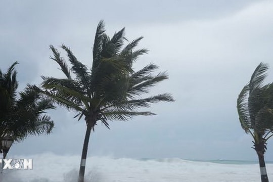 Siêu bão Beryl bắt đầu tấn công các đảo thuộc vùng Caribe