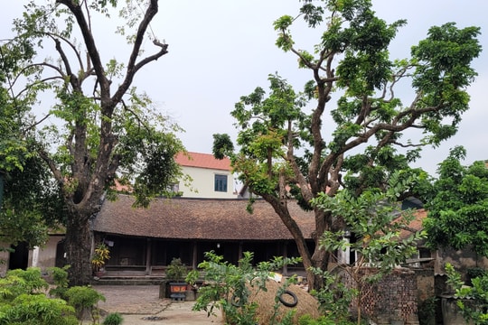 Đừng "đồng phục hóa" nông thôn