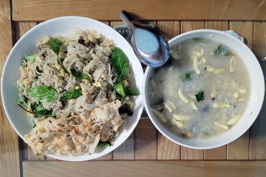 Về Chí Linh thưởng thức nhộng ong