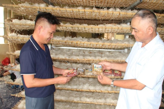 Đưa bánh đa Hội Yên lên đỉnh Hoàng Liên Sơn
