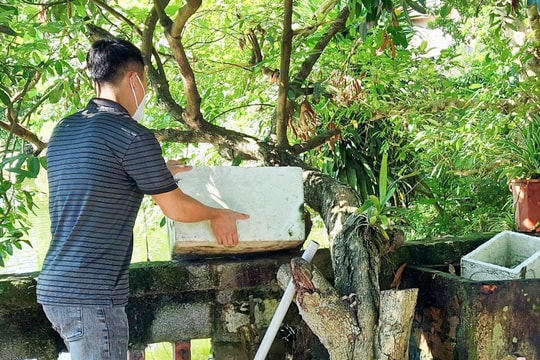 6 tháng, số trường hợp mắc sốt xuất huyết ở Hải Dương gấp hơn 2 lần cùng kỳ