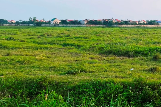 Bình Giang có số dự án do cấp huyện chấp thuận đầu tư chậm tiến độ nhiều nhất tỉnh