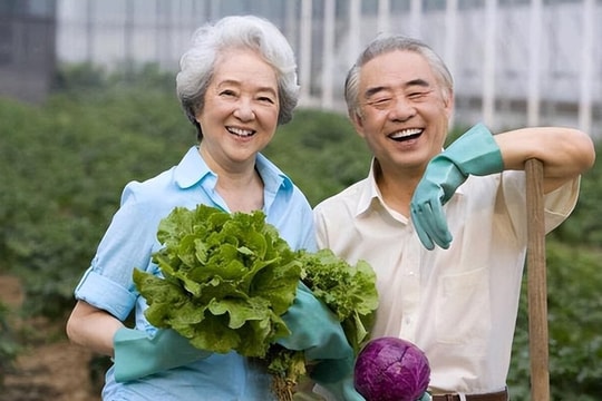 Bí quyết trường thọ của 1.000 người cao tuổi: Không đến từ thói quen tập thể dục