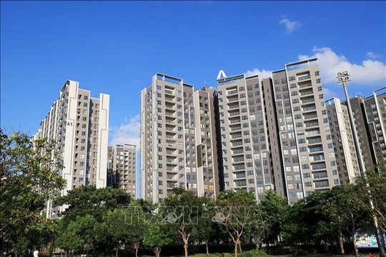 Phân khúc chung cư đang có thanh khoản tốt nhất trên thị trường