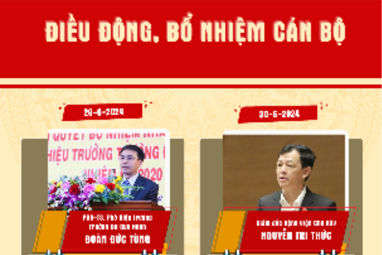 Điều động, bổ nhiệm cán bộ chủ chốt nhiều tỉnh, thành phố