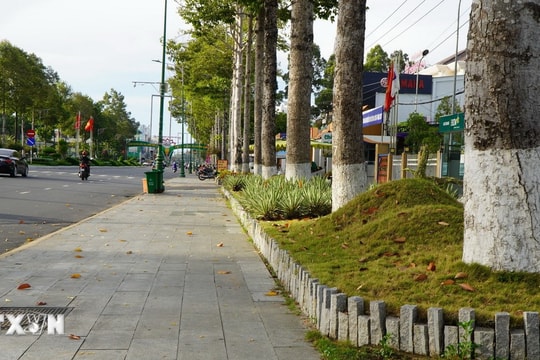 50 công ty con của Công ty cây xanh Công Minh thông đồng tham gia 600 gói thầu