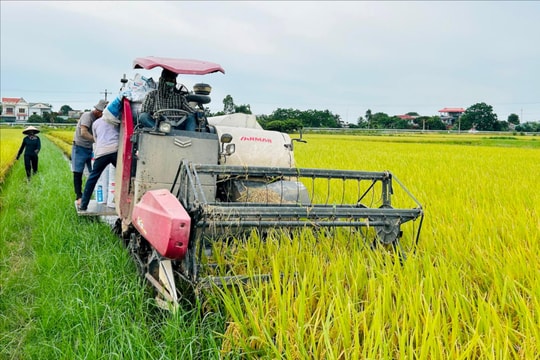 Nhiều mô hình sản xuất nông nghiệp hiệu quả ở Hưng Long (Ninh Giang)
