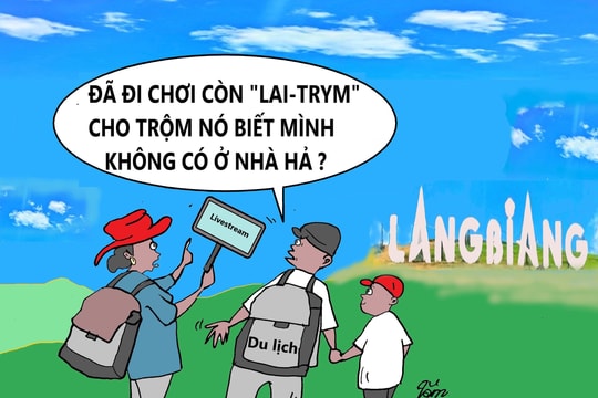 Nghiện livestream
