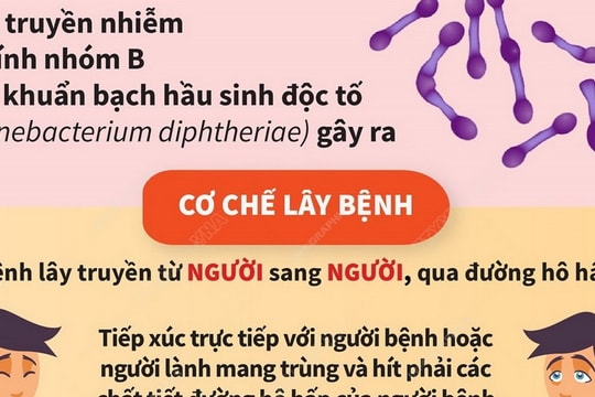 Những điều cần biết về bệnh bạch hầu và cách phòng tránh