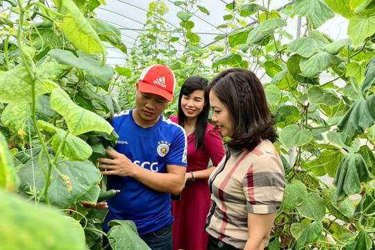 Hai Duong rural people’s income increases by over four times after 10 years