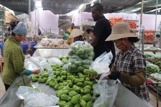 Hoang Nam Phat Cooperative effectively uses loan to expand production