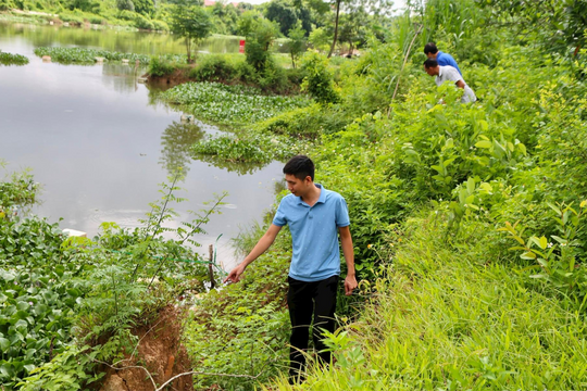 Bờ kênh Bắc Hưng Hải đoạn qua Bình Giang đến mùa lo