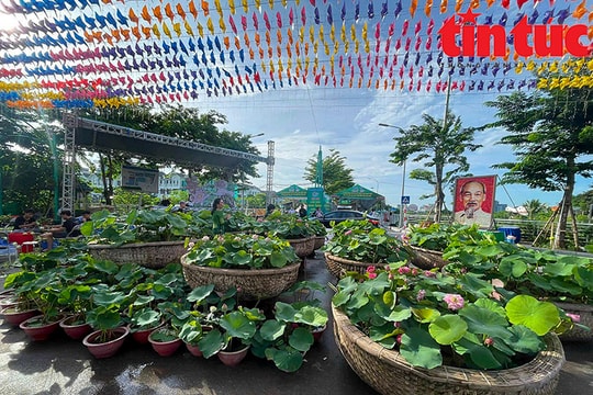 Xác lập hai kỷ lục tại Lễ hội Sen Hà Nội 2024
