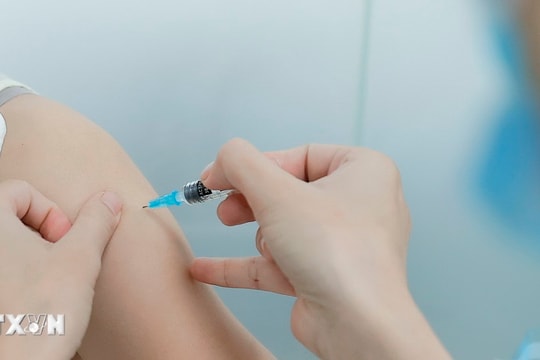 Thủ tướng yêu cầu tăng cường công tác phòng chống bệnh bạch hầu