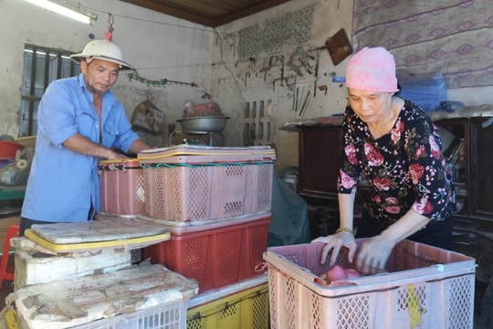 Gia đình ông Vững kiệt quệ vì tai nạn