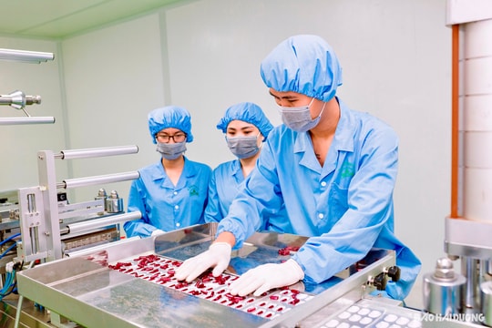Sinh viên theo học ngành dược tại Trường Cao đẳng Dược Trung ương Hải Dương được giảm 70% học phí