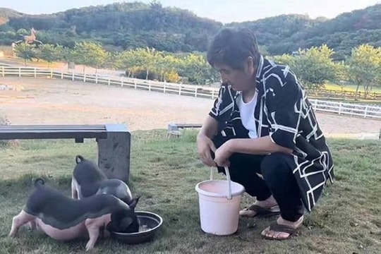 Nghệ sĩ đóng phim với Châu Tinh Trì - Củng Lợi bỏ phố về quê nuôi lợn, trồng rau