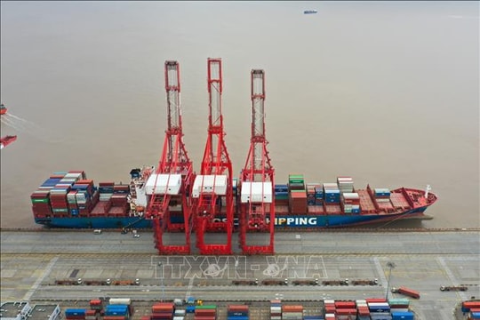 Giá cước vận chuyển hàng qua đường biển tiếp tục tăng cao