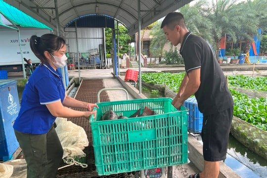Hải Dương thành lập thêm 47 mô hình giúp nhau phát triển kinh tế