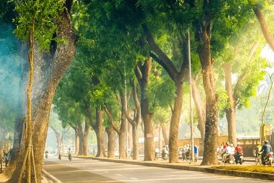 Dự cảm