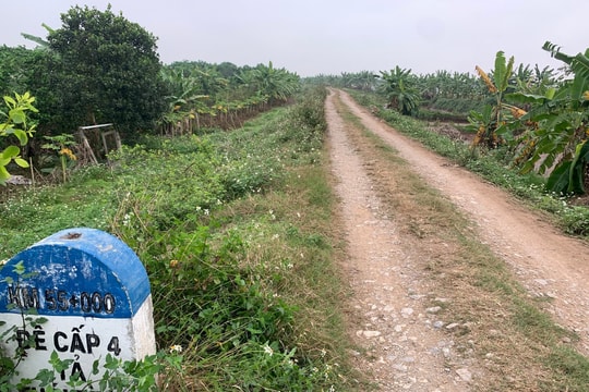 Hải Dương giảm vốn đầu tư cải tạo, nâng cấp công trình đê điều địa phương
