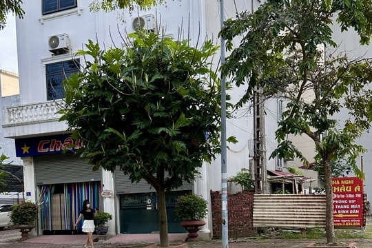 Làm gì để ngăn mại dâm qua mạng, mại dâm trá hình?