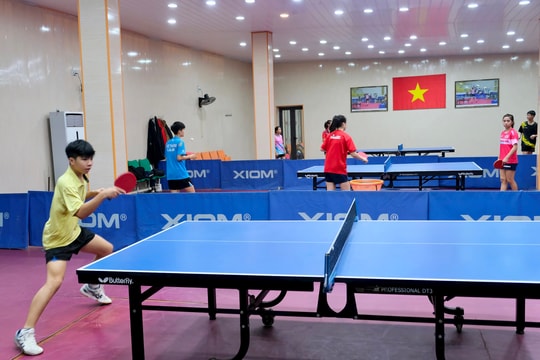 Hải Dương cử "đại quân" tranh Giải vô địch bóng bàn trẻ, thiếu niên, nhi đồng toàn quốc