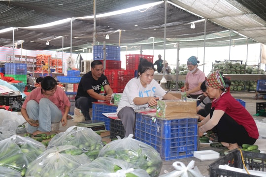 Thành lập Quỹ Hỗ trợ phát triển hợp tác xã Hải Dương