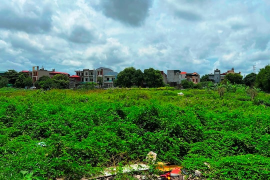 Giao hơn 19.250 m2 đất thực hiện Dự án Khu dân cư, dịch vụ thương mại phường Thanh Bình ở TP Hải Dương