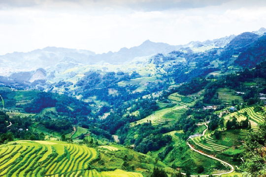 Vietnam most affordable country for expats in 2024