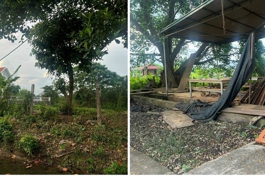 Ông Nguyễn Văn Sơn ở xã Hưng Đạo (Tứ Kỳ) chưa tháo dỡ công trình vi phạm trên đất nông nghiệp