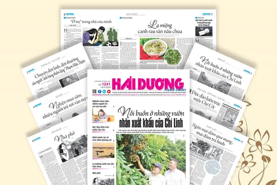 Tìm đọc báo Hải Dương cuối tuần