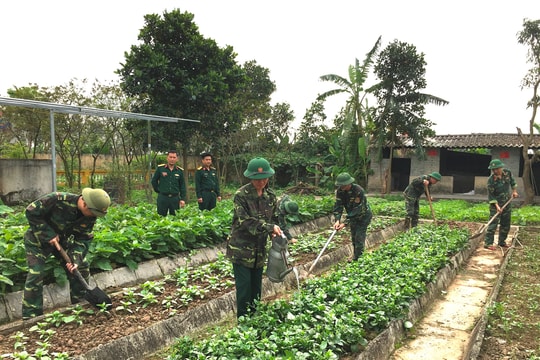 Bộ đội Tứ Kỳ tăng gia sản xuất hiệu quả